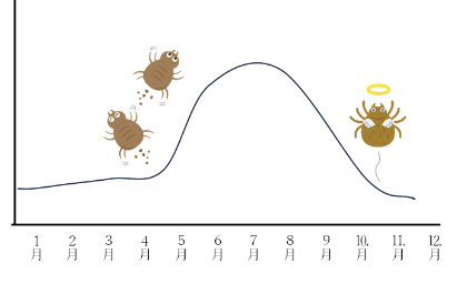 ダニの寿命は約2～3ヶ月